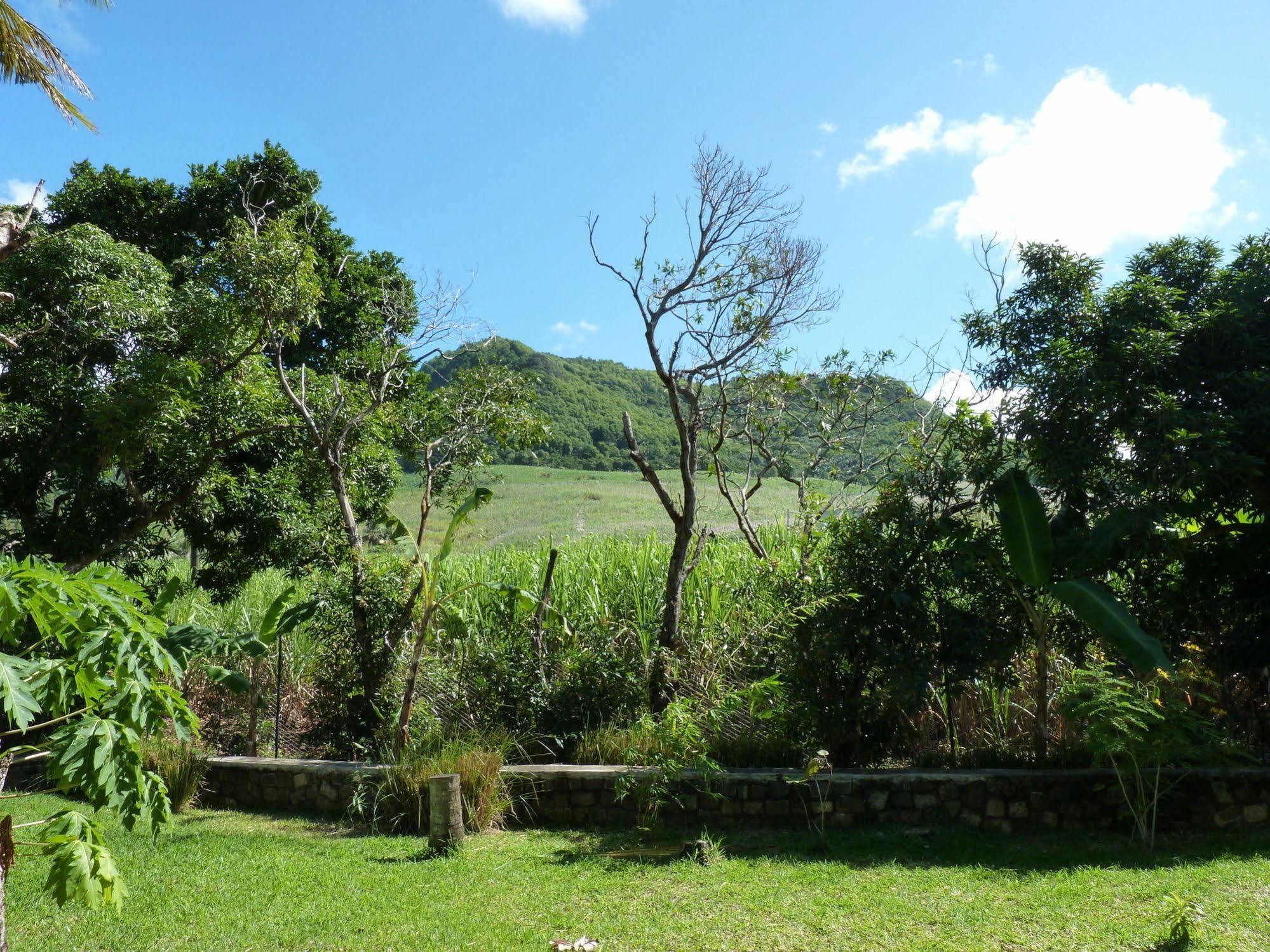 Titli Guest House Mahebourg Exterior photo